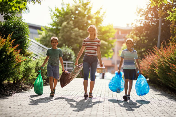 Yard Cleanup Services in Mount Pleasant, UT